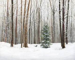 WINTER FOREST