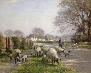 SHEEP IN SPRING