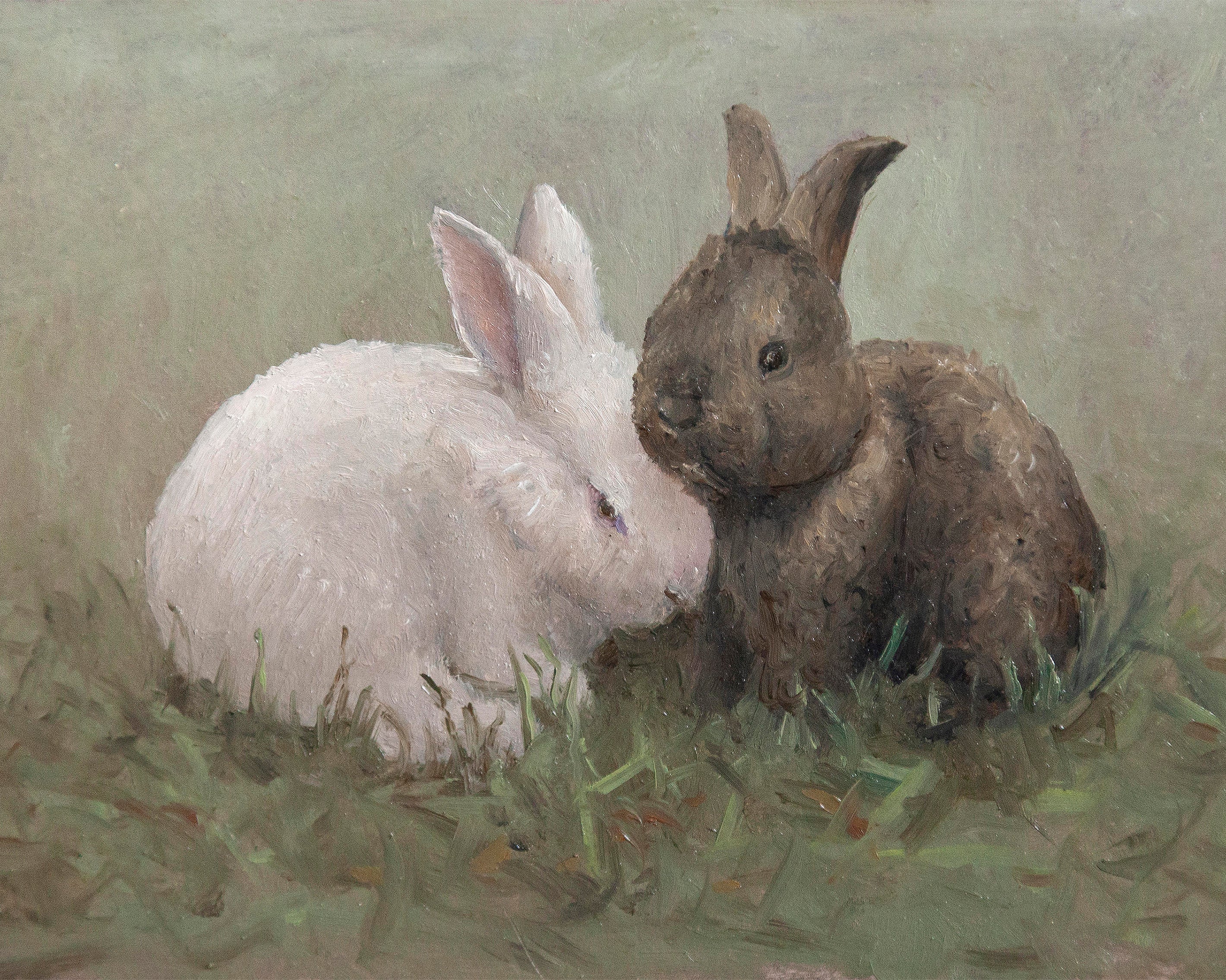 Two Himalayan cheapest Rabbits Fine Art Print