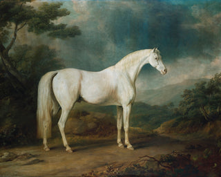WHITE HORSE IN A WOODED LANDSCAPE