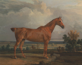 Equestrian Art Prints