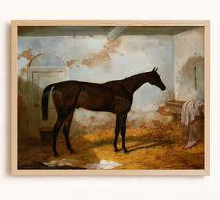 A BAY COLT - Museum Quality Art