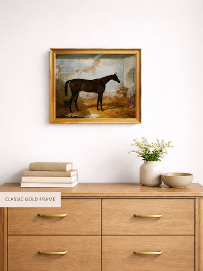A Bay Colt