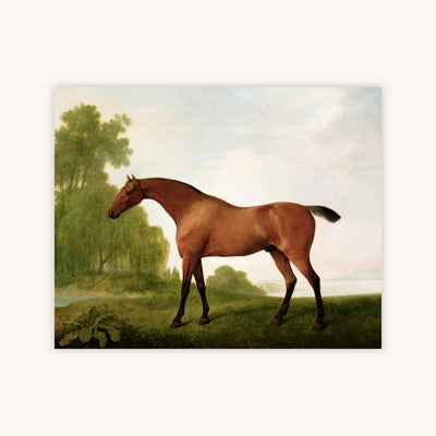 A BAY THOROUGHBRED IN A LANDSCAPE — Primary Image