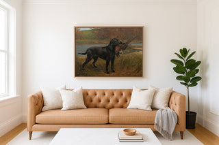 A Black Labrador Retrieving a Pheasant
