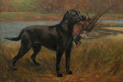 A BLACK LABRADOR RETRIEVING A PHEASANT - Museum Quality Art