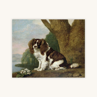 A BROWN AND WHITE SPANIEL — Primary Image
