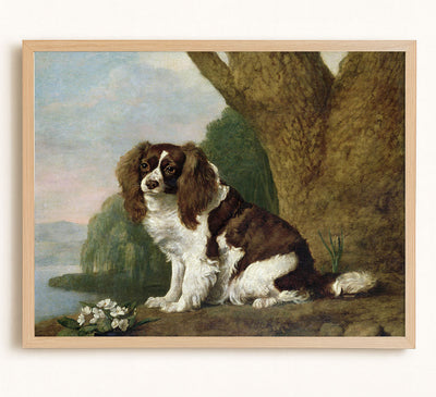 A BROWN AND WHITE SPANIEL - Museum Quality Art