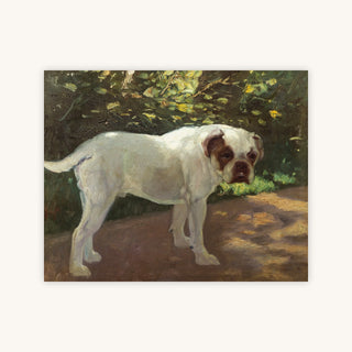 A BULLDOG ON A GARDEN PATH — Primary Image