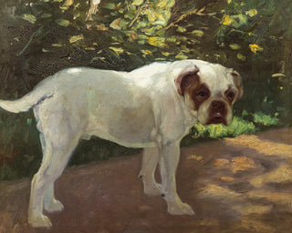 A Bulldog on a Garden Path