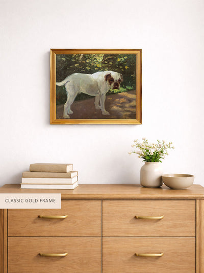 A Bulldog on a Garden Path