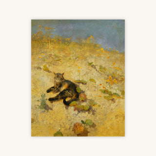 A CAT BASKING IN THE SUN — Primary Image