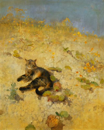 A CAT BASKING IN THE SUN