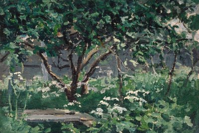 A Corner of the Garden