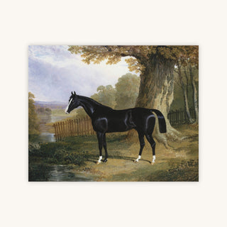 A DARK HUNTER IN A RIVER LANDSCAPE — Primary Image