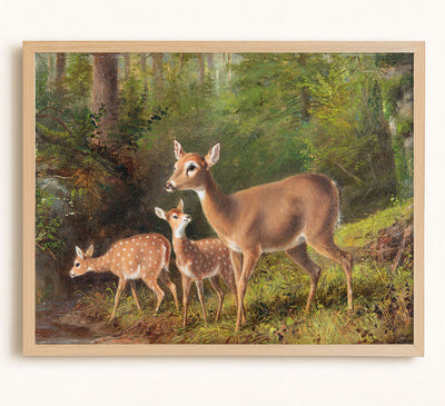 A Doe and Two Fawns