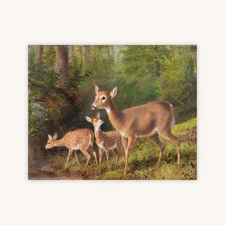 A DOE AND TWO FAWNS — Primary Image