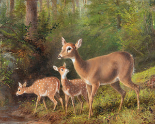 A DOE AND TWO FAWNS