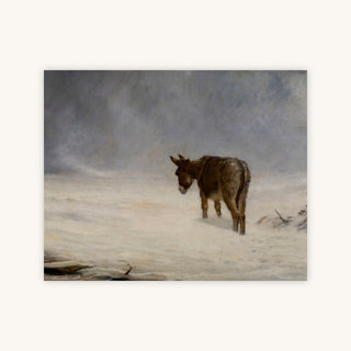 A DONKEY IN SNOW — Primary Image