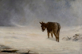 A DONKEY IN SNOW