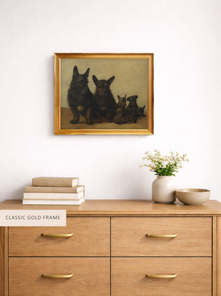 A Family of Scotties