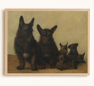 A Family of Scotties
