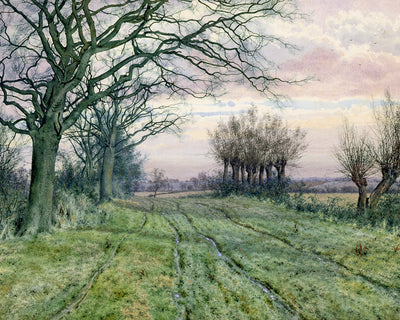 A FENLAND LANE WITH POLLARDED WILLOWS
