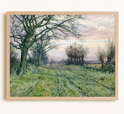 A Fenland Lane With Pollarded Willows