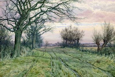 A FENLAND LANE WITH POLLARDED WILLOWS