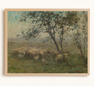 A Flock of Sheep