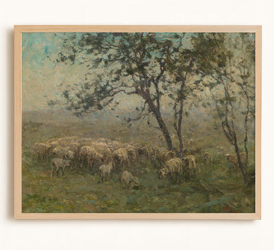 A Flock of Sheep