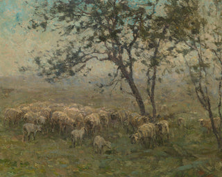 A FLOCK OF SHEEP