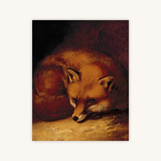 A FOX — Primary Image