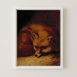 A FOX - Museum Quality Art