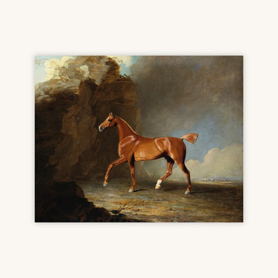 A GOLDEN CHESTNUT RACEHORSE BY A ROCK FORMATION — Primary Image