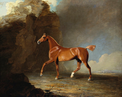 A Golden Chestnut Racehorse by a Rock Formation