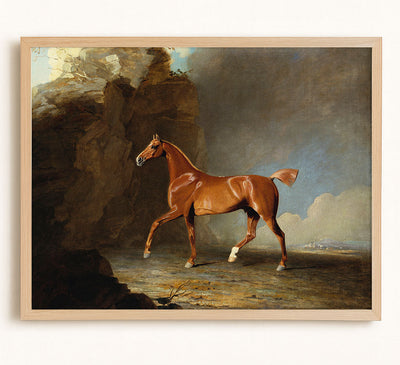 Golden Chestnut Racehorse