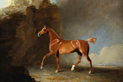 A Golden Chestnut Racehorse by a Rock Formation
