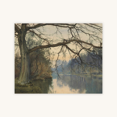 A GREAT TREE ON A RIVERBANK — Primary Image