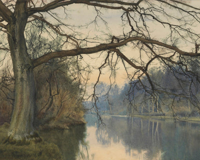 A GREAT TREE ON A RIVERBANK