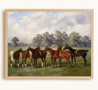 A Group of Polo Ponies