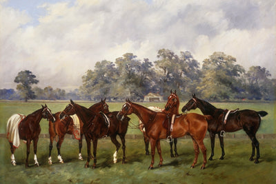 A GROUP OF POLO PONIES