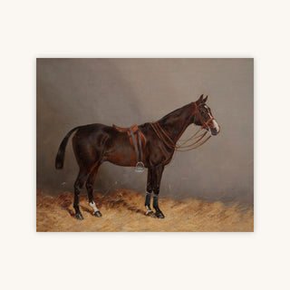 SAILOR — Primary Image