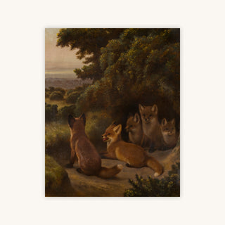 A LITTER OF FOX CUBS — Primary Image