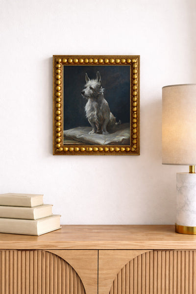 A Pampered West Highland Terrier on a Silk Cushion