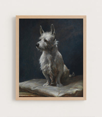 A Pampered West Highland Terrier on a Silk Cushion