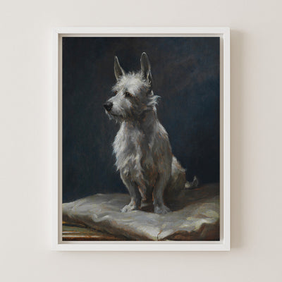 A Pampered West Highland Terrier on a Silk Cushion
