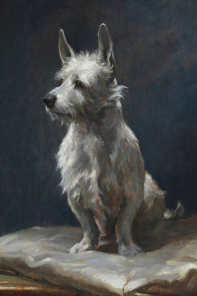 A PAMPERED WEST HIGHLAND TERRIER ON A SILK CUSHION - Museum Quality Art