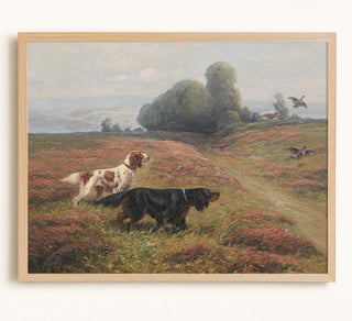 A Pointer and a Setter Sending Up Grouse