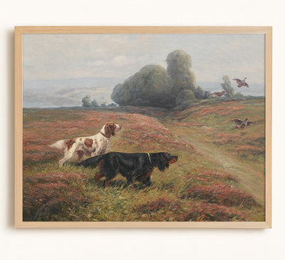 A Pointer and a Setter Sending Up Grouse